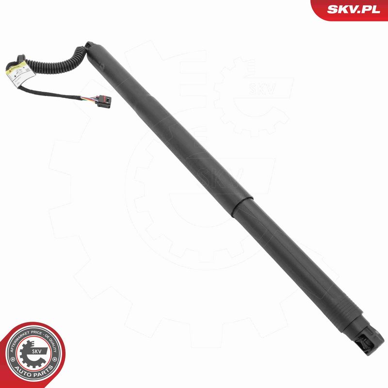 ESEN SKV 52SKV197 Electric Motor, tailgate