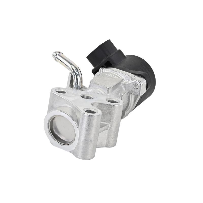 AGR-VENTIL DELPHI EG1053212B1 10