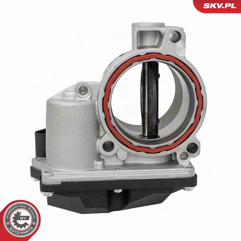 ESEN SKV 12SKV188 Throttle Body