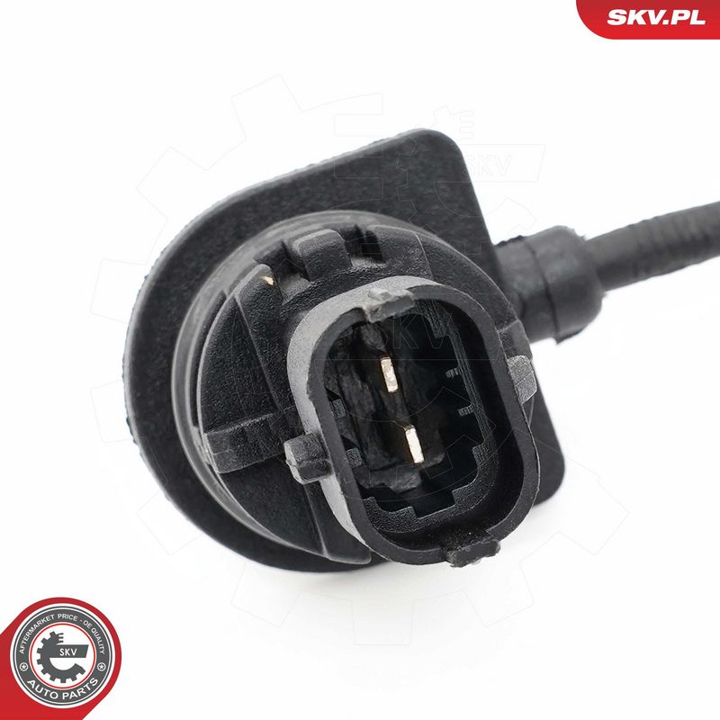 Andur, Mootoriõlitase, ESEN SKV 17SKV931