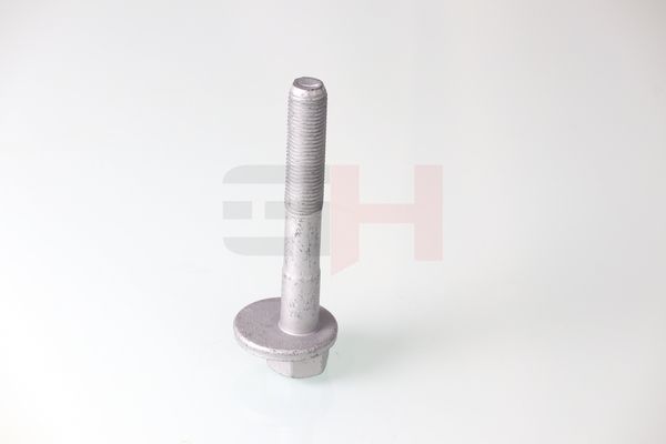 GH GH-399901 Camber Correction Screw