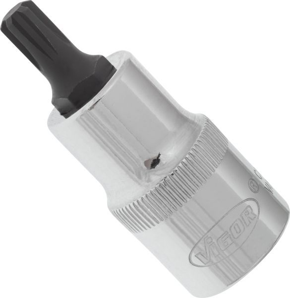 Padrun, VIGOR V2204