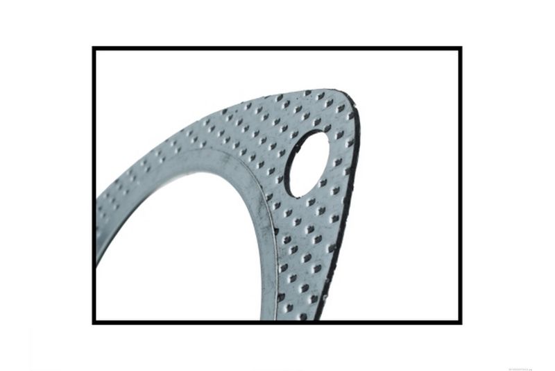 AUTOMEGA 190032710 Gasket, exhaust pipe