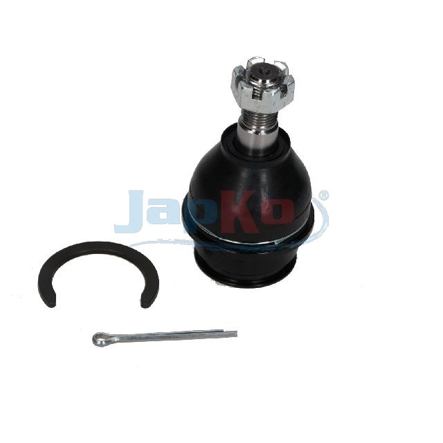 Kande-, juhtliigend, JAPKO...