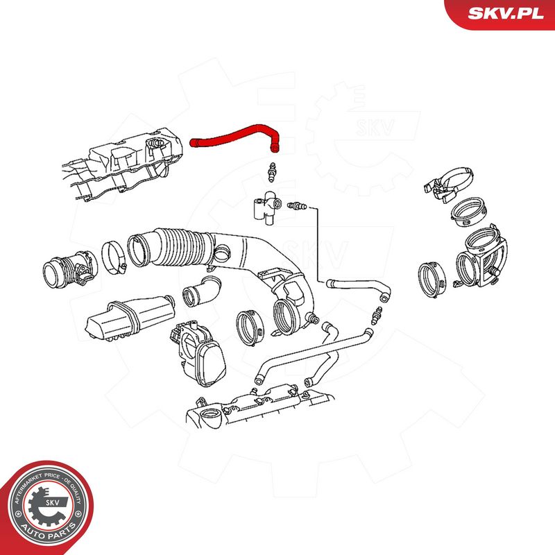 Voolik, Karterituulutus, ESEN SKV 31SKV123