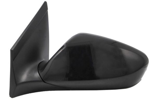 BLIC 5402-20-0542310P Exterior Mirror