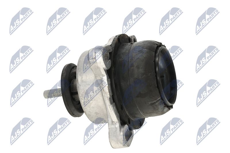 Paigutus, Mootor, NTY ZPS-FR-013