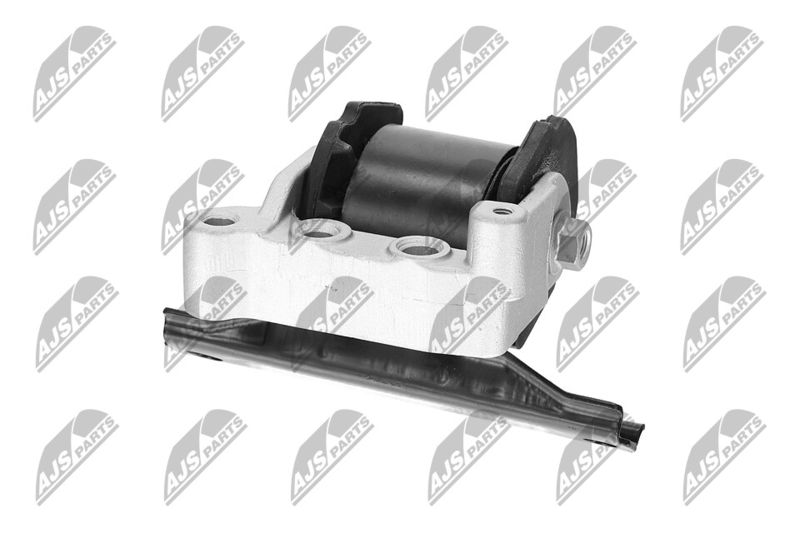 Paigutus, Mootor, NTY ZPS-CH-071