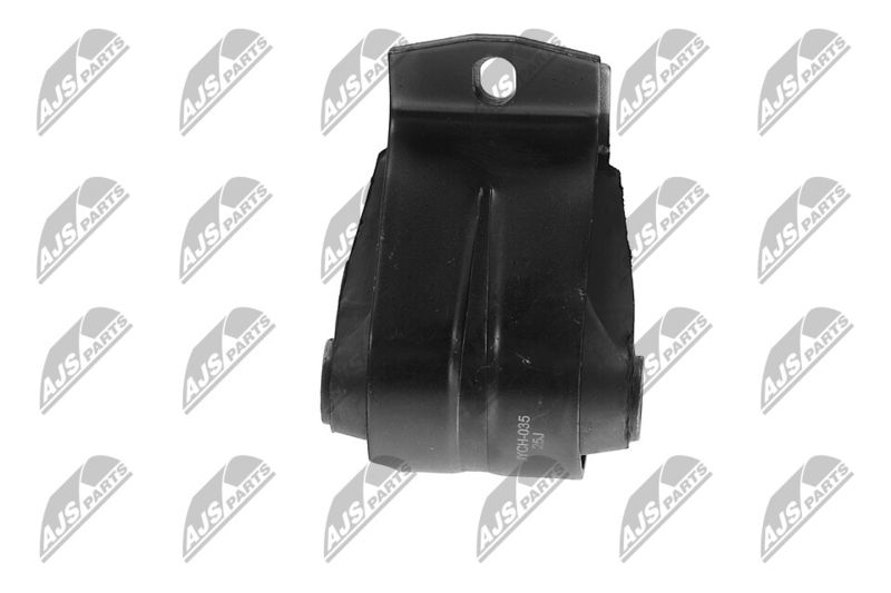 Paigutus, Mootor, NTY ZPS-CH-035