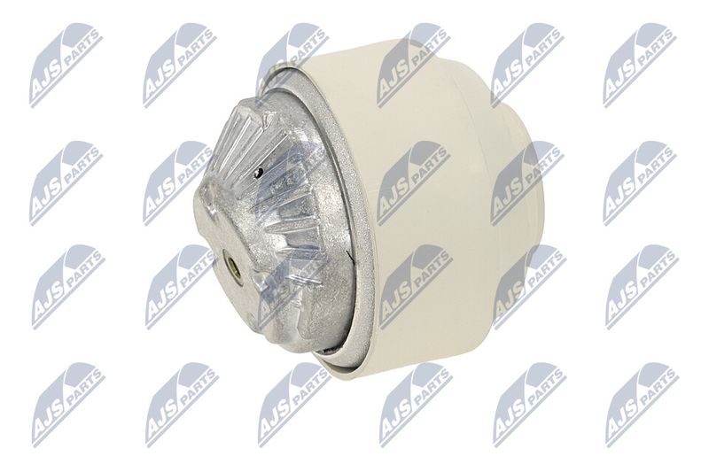 Paigutus, Mootor, NTY ZPS-ME-102