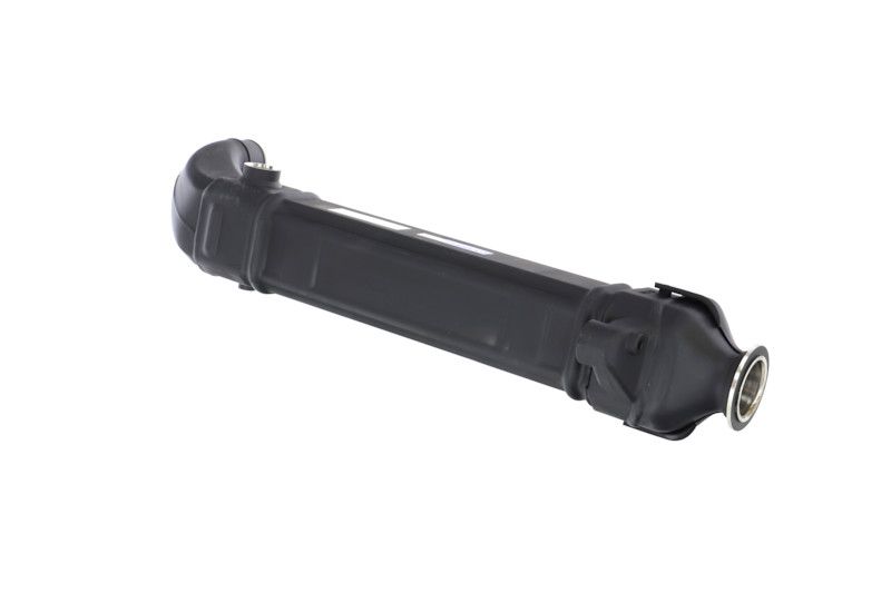 REMANTE 010-001-000025R EGR Module