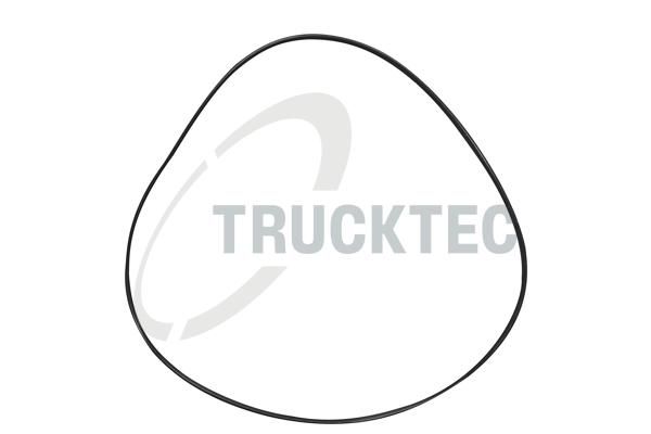 TRUCKTEC AUTOMOTIVE 08.17.019 - Seal Ring, coolant pipe