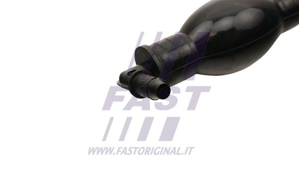 FT53053_3_1.JPG
