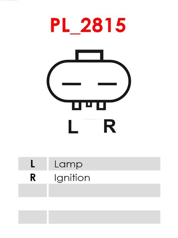 275755.JPG