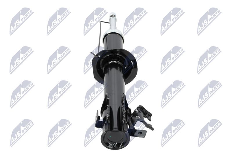 Amort, NTY A-NS-009