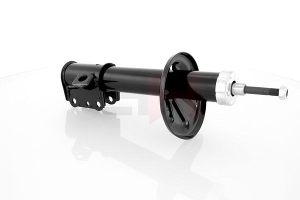 Amort, GH GH-323281H