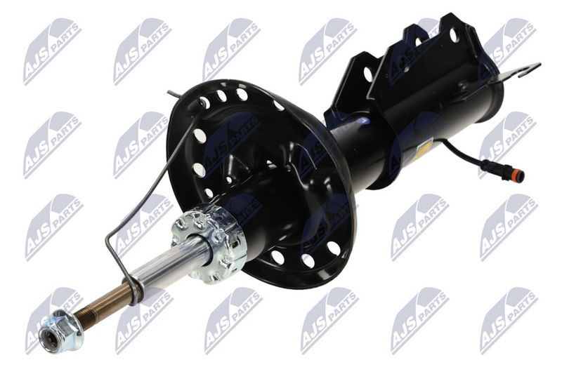 Amort, NTY A-PL-061
