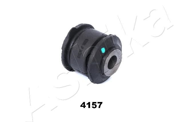 GOM-4157_1.JPG