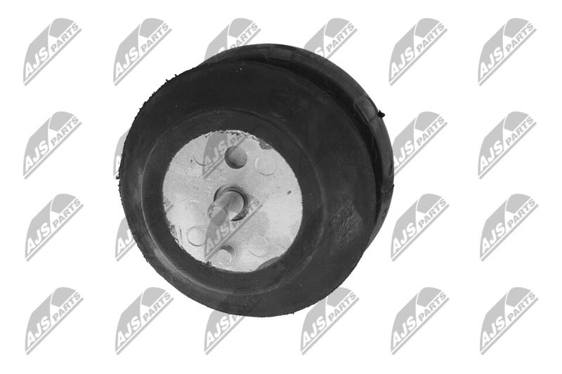 Paigutus, Mootor, NTY ZPS-CH-070