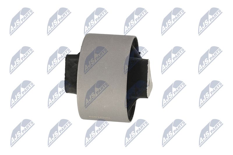 Paigutus, Mootor, NTY ZPS-CH-039