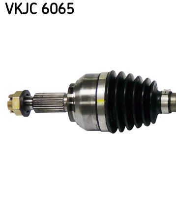 VKJC 6065_2.JPG