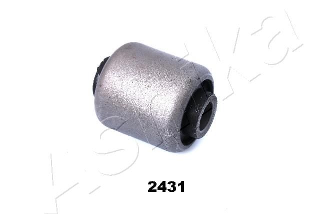 GOM-2431_1.JPG