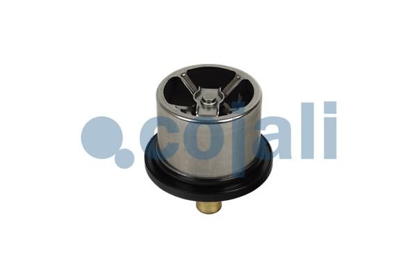 Termostat, chladivo 2880275