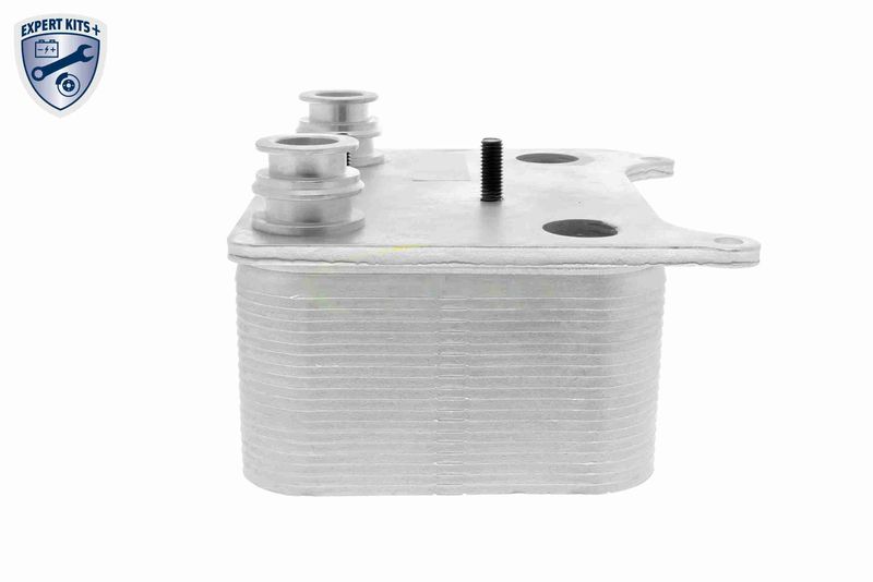 VEMO V25-60-0038 Oil Cooler, engine oil