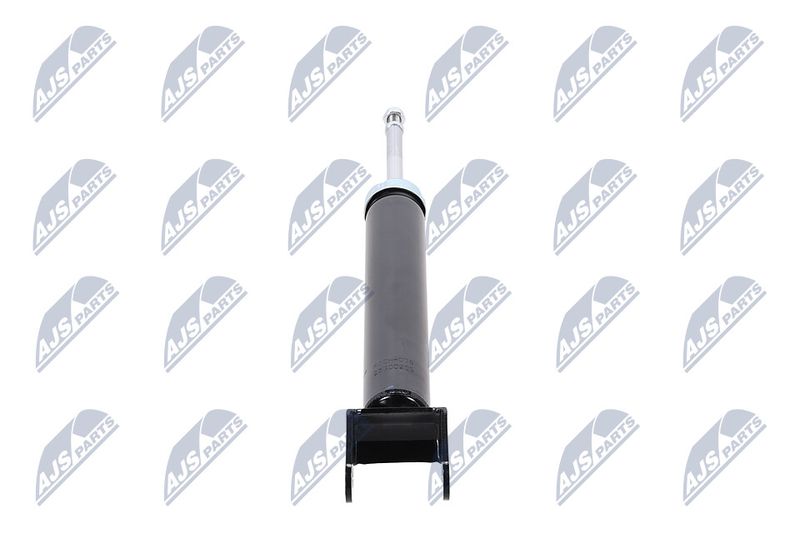 Amort, NTY A-CH-078