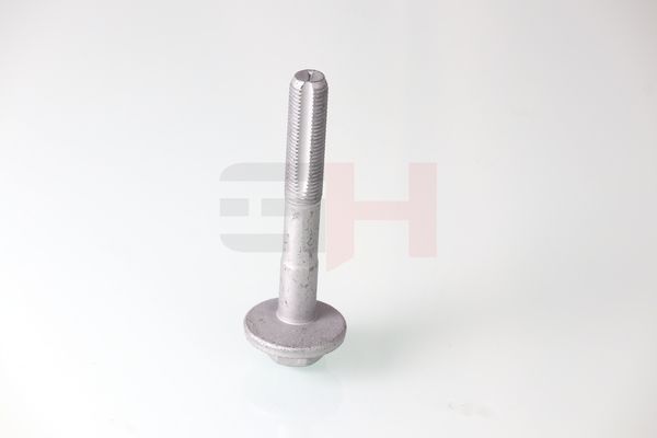 GH GH-399901 Camber Correction Screw