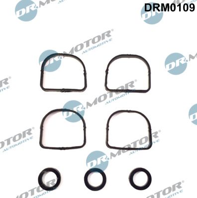 Комплект ущільнень, впускний колектор, Dr.Motor DRM-0109