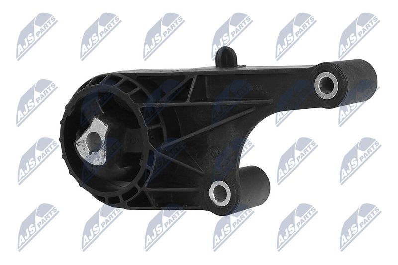 Paigutus, Mootor, NTY ZPS-PL-057