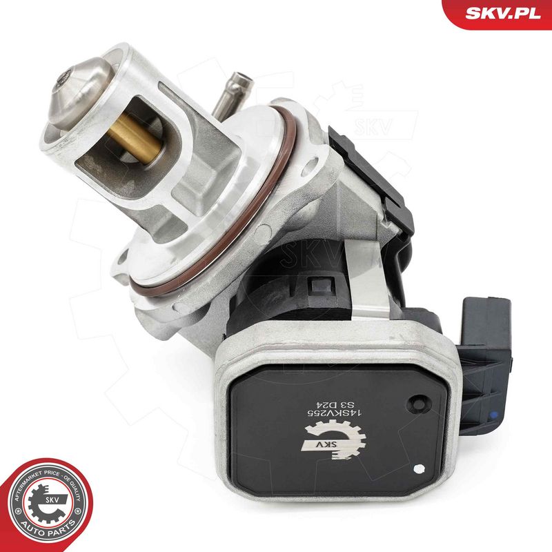 EGR-klapp, ESEN SKV 14SKV255