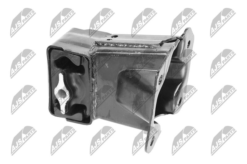 Paigutus, Mootor, NTY ZPS-CH-033