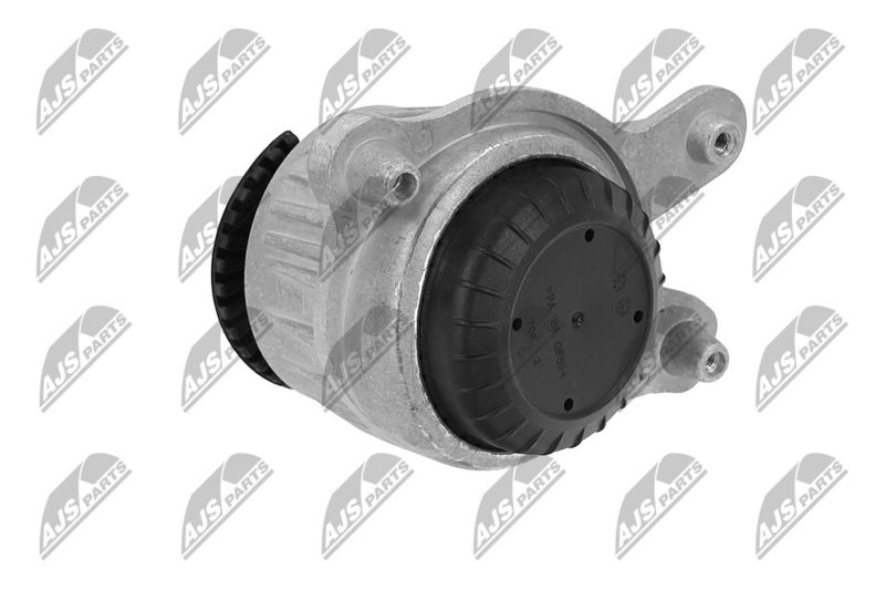 Paigutus, Mootor, NTY ZPS-ME-049