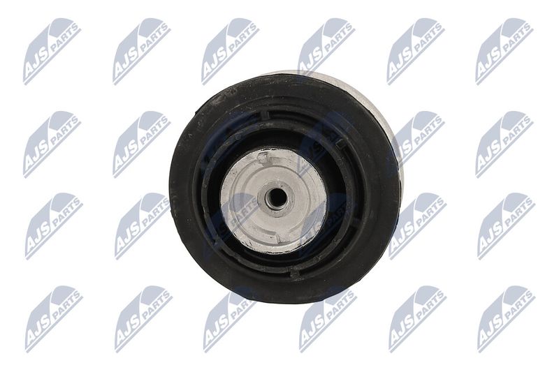 Paigutus, Mootor, NTY ZPS-ME-089