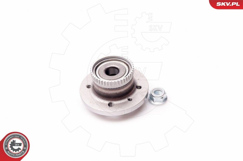 ESEN SKV 29SKV102 Wheel Bearing Kit