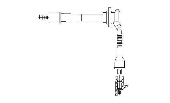 3A51F.JPG