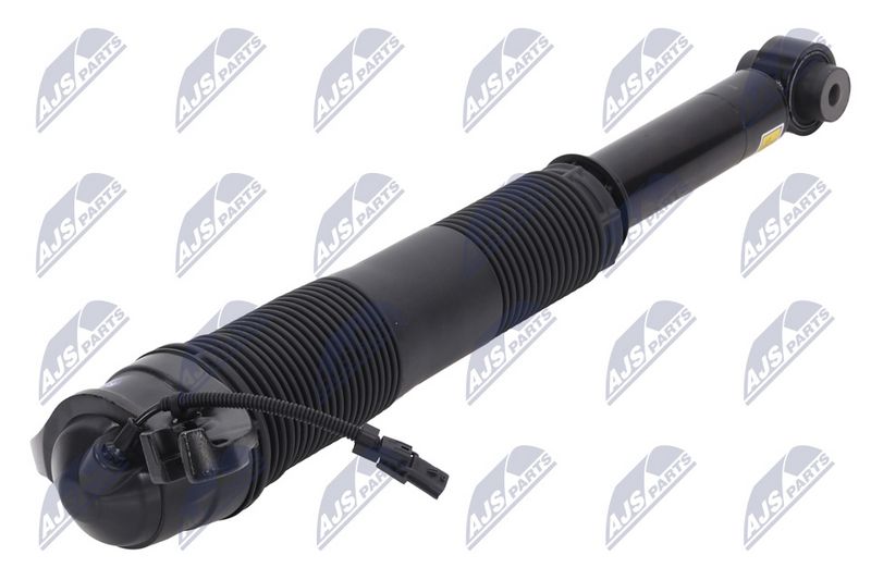 Amort, NTY A-LR-022