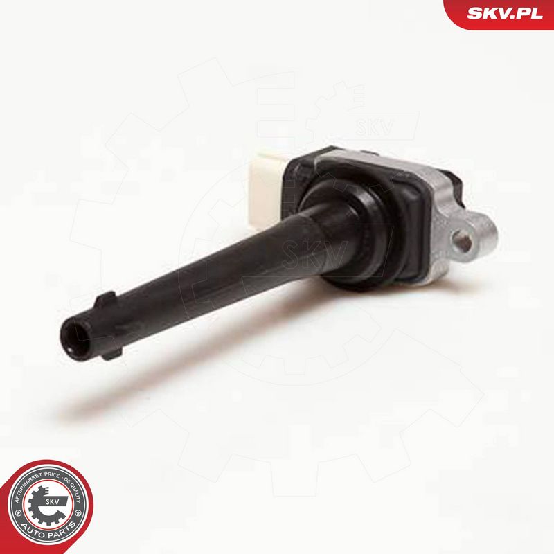 ESEN SKV 03SKV172 Ignition Coil