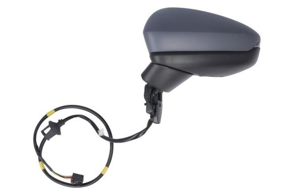BLIC 5402-25-2320310P Exterior Mirror