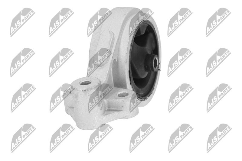 Paigutus, Mootor, NTY ZPS-KA-312