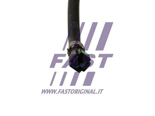 FT61103_2_1.JPG