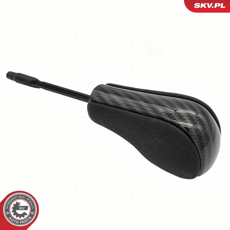 Käigukanginupp, ESEN SKV...