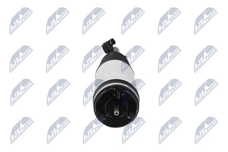 Amort, NTY A-CH-126