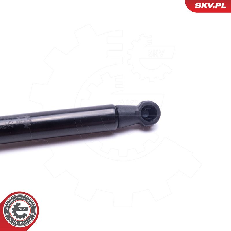 Gaasivedru, pagasi-, veoruum, ESEN SKV 52SKV595