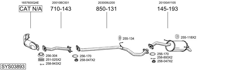 SYS03893.JPG