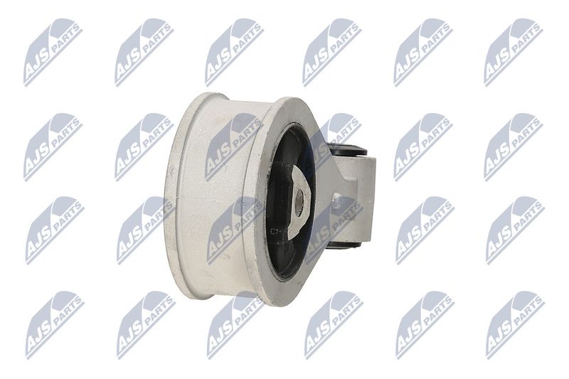 Paigutus, Mootor, NTY ZPS-NS-062