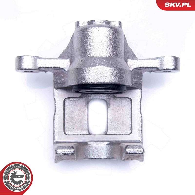 Pidurisadul, ESEN SKV 45SKV193