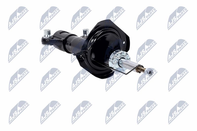 Amort, NTY A-NS-015